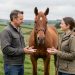 Un propriétaire et une responsable d’écurie discutent calmement près d’un cheval alezan dans un pré verdoyant, dans une ambiance rurale réaliste et documentaire.