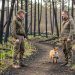 Un sauveteur observe à distance un petit renard près d’un chemin sécurisé, à la lisière d’une forêt de Gironde marquée par un incendie.